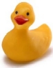 duck77.jpg